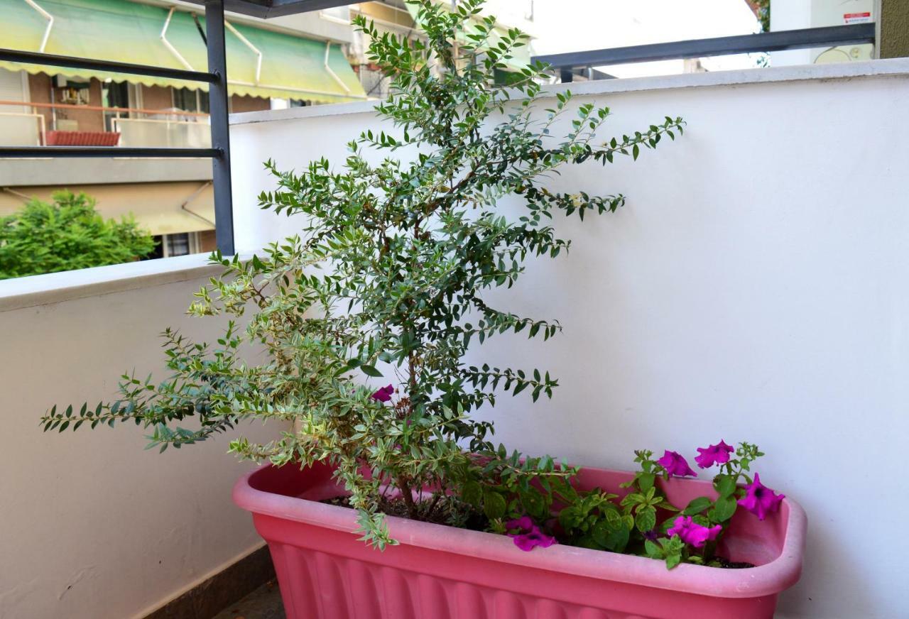 سالونيك Cosy Studios 1 Close To The City Center المظهر الخارجي الصورة